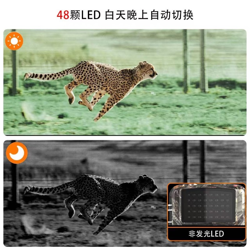 HOT SALE DL001 Hunting Camera  - đánh giá và giá Outdoor Hunting Videos