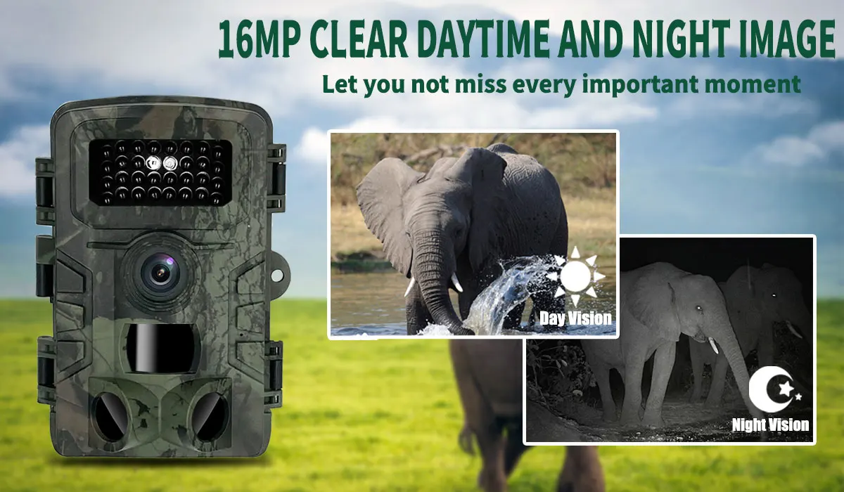 Hunting Trail Camera PR700 wit - đánh giá và giá Trail Camera Infrared