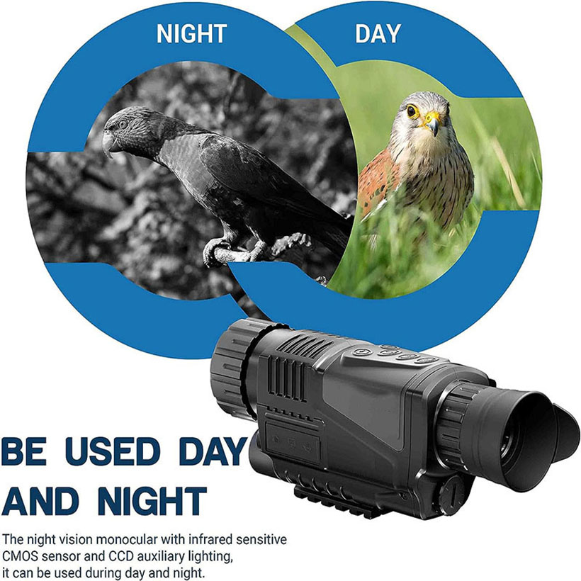 Low Light Night Vision Hunting - đánh giá và giá Outdoor Hunting Videos
