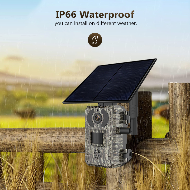 4G 4MP Outdoor Wildlife Huntin - đánh giá và giá Trail Camera Infrared