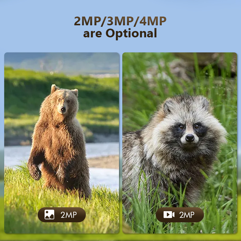 4G 4MP Outdoor Wildlife Huntin - đánh giá và giá Trail Camera Infrared