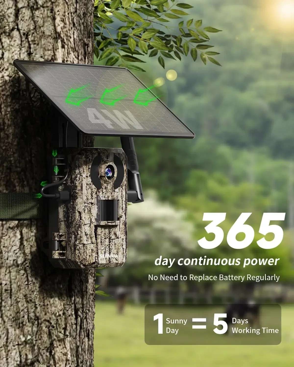 3rd Gen 4G LTE Cellular Trail  - đánh giá và giá Trail Camera Infrared