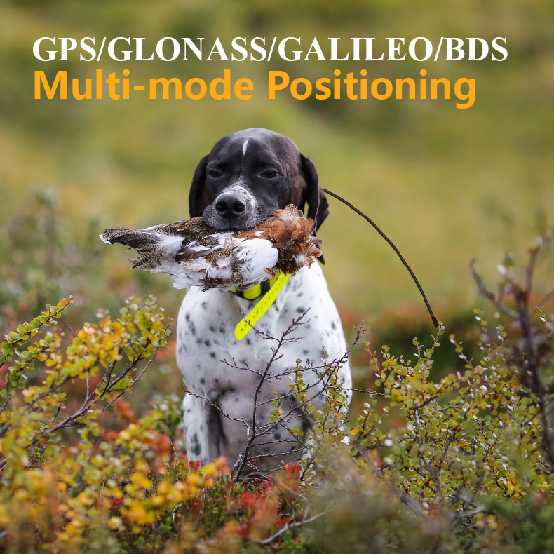 Global GPS Pet Tracker Real Ti - đánh giá và giá Outdoor Hunting Dog Supply